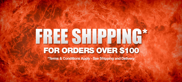 Free shipping for orders over $100